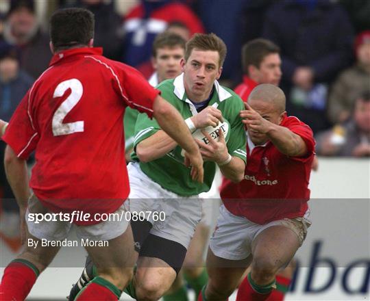 Ireland A v Wales A - "A" Rugby International