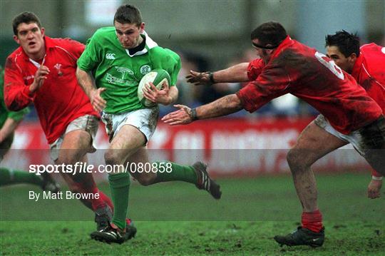 Ireland v Wales - U21 Rugby International