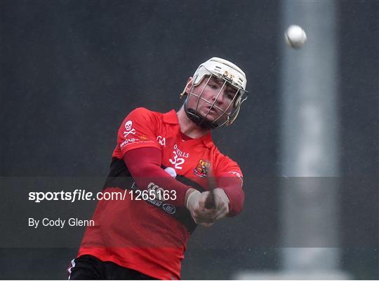 University College Dublin v University College Cork - Independent.ie HE GAA Fitzgibbon Cup Group D Round 2