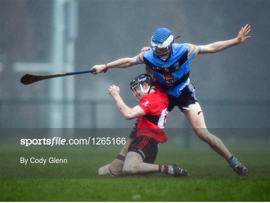 University College Dublin v University College Cork - Independent.ie HE GAA Fitzgibbon Cup Group D Round 2