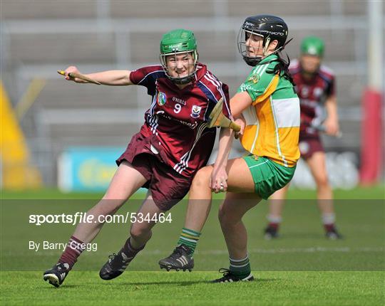 Galway v Offaly - All-Ireland Senior Camogie Championship Round 4 in association with RTE Sport