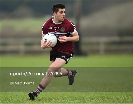 St Mary's University College v University College Cork - Independent.ie HE GAA Sigerson Cup semi-final