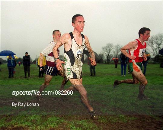 Inter Club Cross Country Championships of Ireland