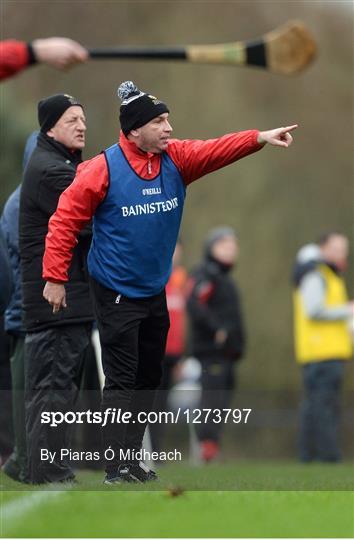IT Carlow v University College Cork - Independent.ie HE GAA Fitzgibbon Cup semi-final IT Carlow v University College Cork - Independent.ie HE GAA Fitzgibbon Cup semi-final