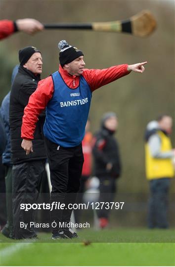 IT Carlow v University College Cork - Independent.ie HE GAA Fitzgibbon Cup semi-final