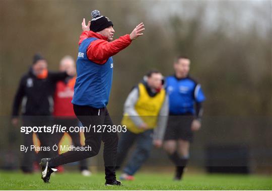 IT Carlow v University College Cork - Independent.ie HE GAA Fitzgibbon Cup semi-final