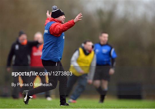 IT Carlow v University College Cork - Independent.ie HE GAA Fitzgibbon Cup semi-final