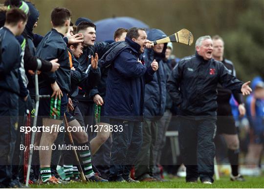 Mary Immaculate College Limerick v Limerick IT - Independent.ie HE GAA Fitzgibbon Cup semi-final