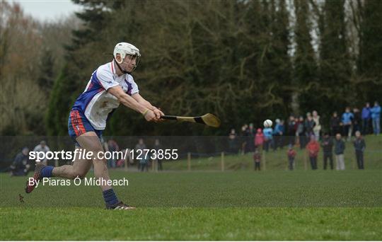 Mary Immaculate College Limerick v Limerick IT - Independent.ie HE GAA Fitzgibbon Cup semi-final