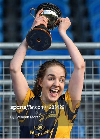 Dublin City University v Athlone Institute of Technology - Giles Cup Final