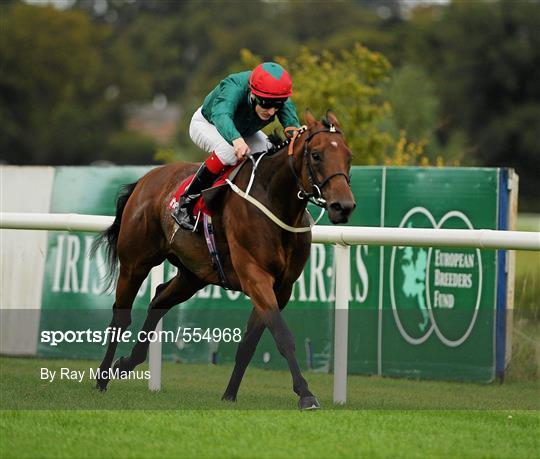 Horse Racing - Saturday 3rd September Horse Racing - Saturday 3rd September