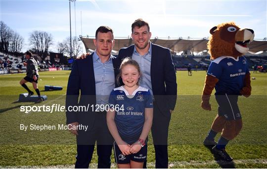 Mascots at Leinster v Cardiff Blues - Guinness PRO12 Round 18
