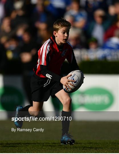 Bank of Ireland Minis at Leinster v Cardiff Blues - Guinness PRO12 Round 18