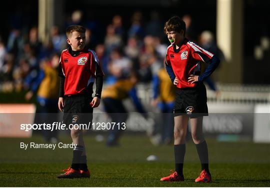 Bank of Ireland Minis at Leinster v Cardiff Blues - Guinness PRO12 Round 18