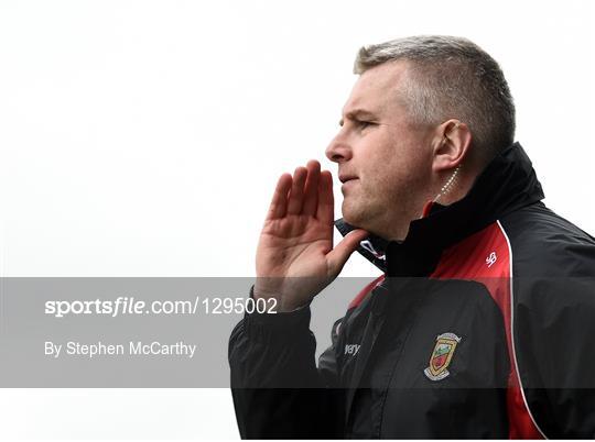 Mayo v Donegal - Allianz Football League Division 1 Round 7