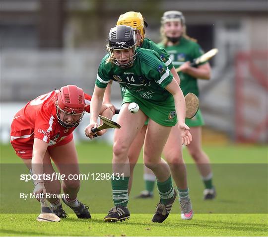 Cork v Limerick - Littlewoods National Camogie League semi-final