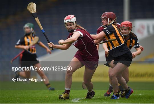 Galway v Kilkenny - Littlewoods National Camogie League semi-final