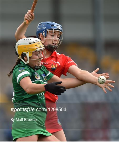 Cork v Limerick - Littlewoods National Camogie League semi-final