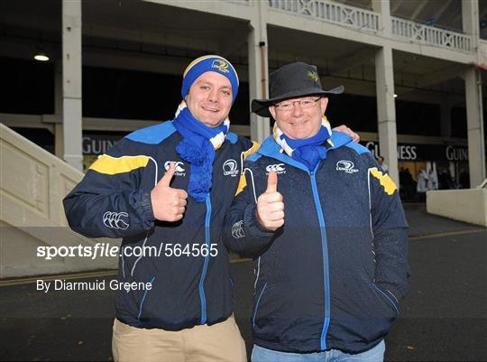 Leinster Fans at Leinster v Aironi - Celtic League
