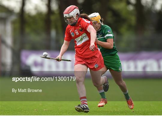 Cork v Limerick - Littlewoods National Camogie League semi-final