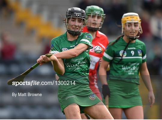 Cork v Limerick - Littlewoods National Camogie League semi-final