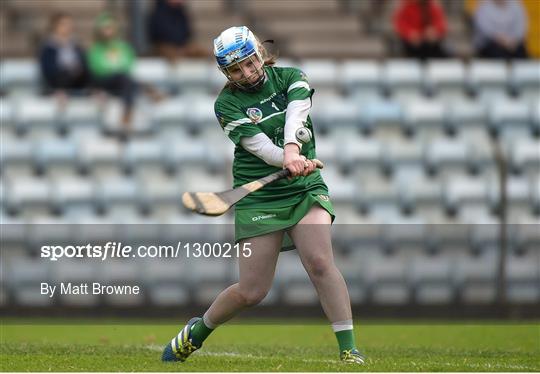 Cork v Limerick - Littlewoods National Camogie League semi-final