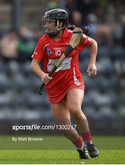 Cork v Limerick - Littlewoods National Camogie League semi-final