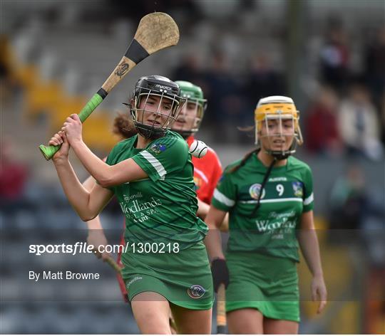 Cork v Limerick - Littlewoods National Camogie League semi-final