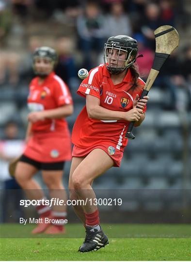 Cork v Limerick - Littlewoods National Camogie League semi-final