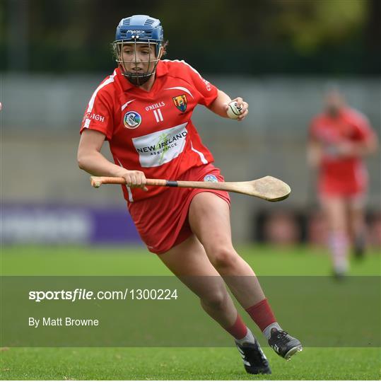 Cork v Limerick - Littlewoods National Camogie League semi-final