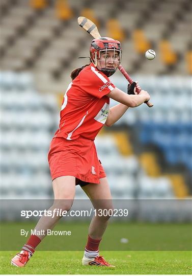 Cork v Limerick - Littlewoods National Camogie League semi-final