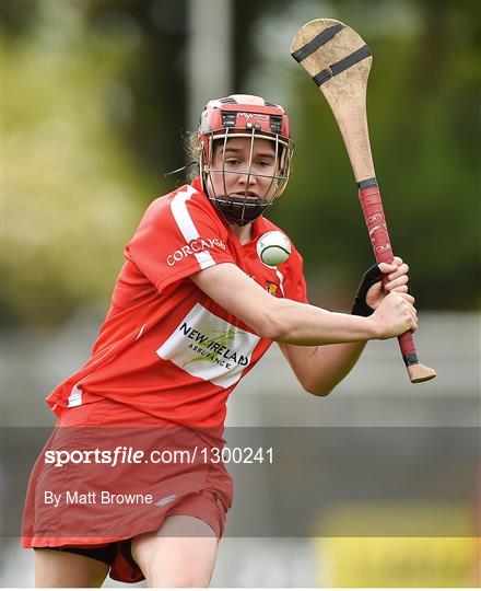 Cork v Limerick - Littlewoods National Camogie League semi-final Cork v Limerick - Littlewoods National Camogie League semi-final