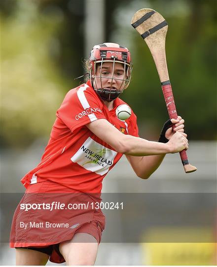 Cork v Limerick - Littlewoods National Camogie League semi-final