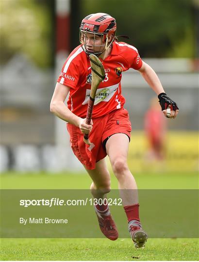 Cork v Limerick - Littlewoods National Camogie League semi-final