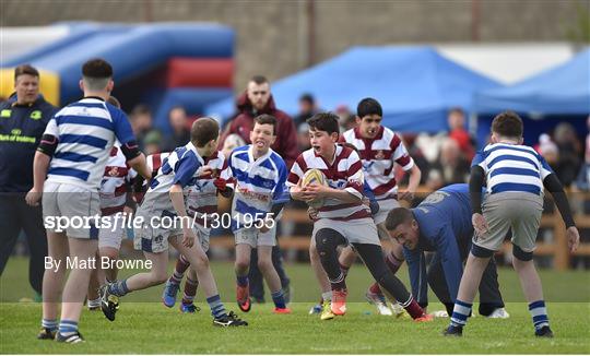 Skerries RFC 2nd XV v Tullow RFC - Bank of Ireland Leinster Provincial Towns Cup Final