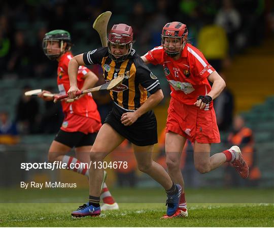 Cork v Kilkenny Littlewoods Ireland Camogie League Div 1 Final