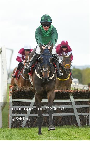 Punchestown Races - Day 2