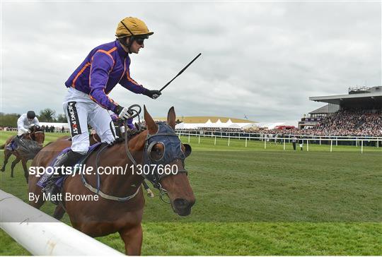 Punchestown Races - Day 4
