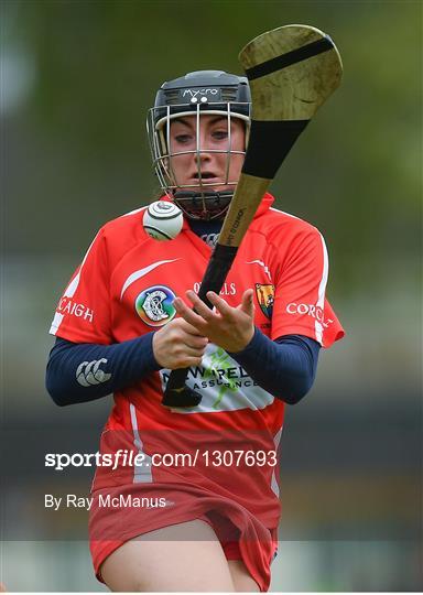 Cork v Kilkenny Littlewoods Ireland Camogie League Div 1 Final