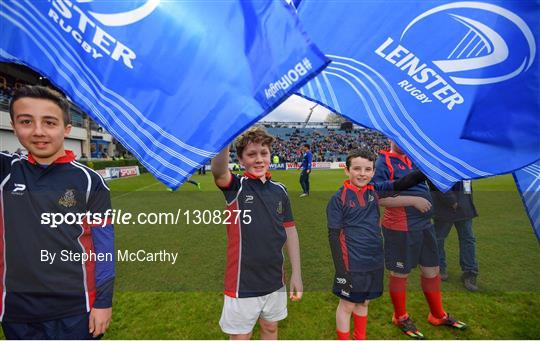 Bank of Ireland Minis at Leinster v Glasgow Warriors  - Guinness PRO12 Round 21