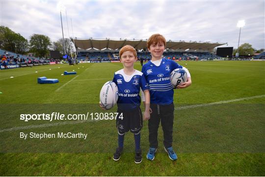 Mascots at Leinster v Glasgow Warriors  - Guinness PRO12 Round 21