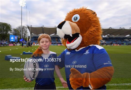 Mascots at Leinster v Glasgow Warriors  - Guinness PRO12 Round 21