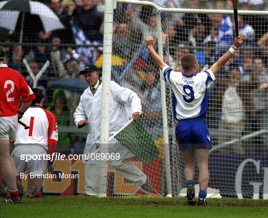 Waterford v Cork - Guinness Munster Senior Hurling Championship Semi-Final