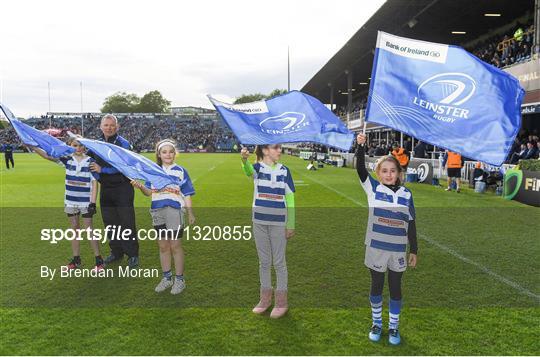 Flagbearers at Leinster v Scarlets - Guinness PRO12 semi-final