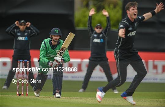 Ireland v New Zealand - International Cricket
