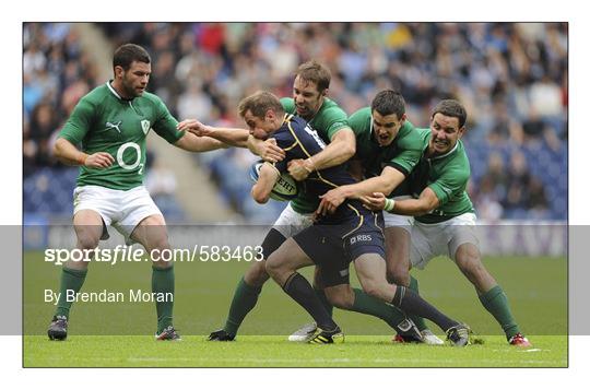 Sportsfile Images of the Year 2011