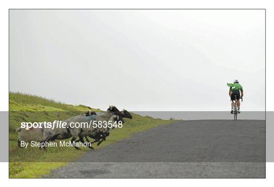 Sportsfile Images of the Year 2011
