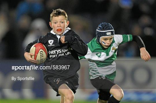 Mini Rugby Player Meet and Greet at Leinster v Ulster - Celtic League