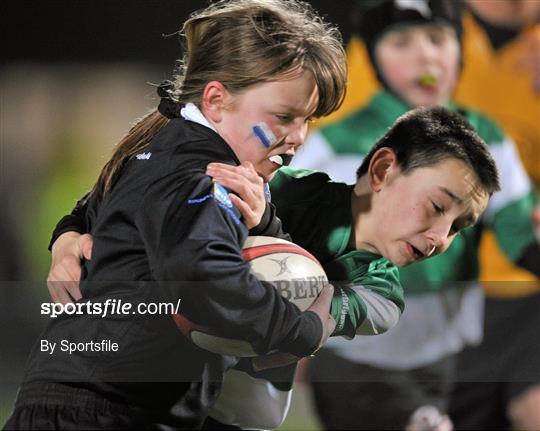 Half-Time Mini Games at Leinster v Ulster - Celtic League