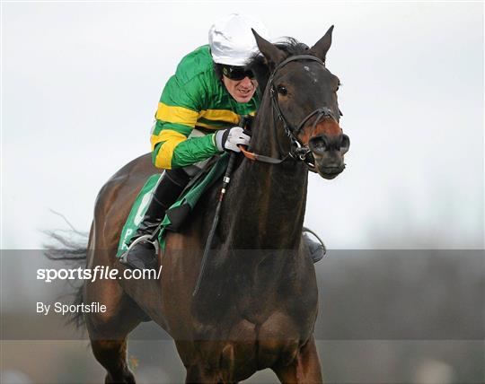 Leopardstown Christmas Racing Festival 2011 - Tuesday 27th December